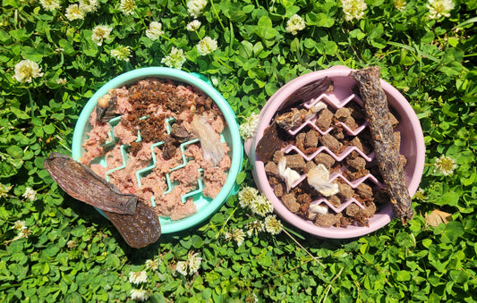Boost Your Pet's Bowl: How Dehydrated Raw Treats Enhance Any Diet