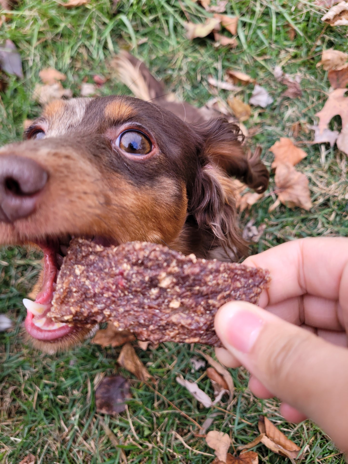 Turkey Gizzard Jerky