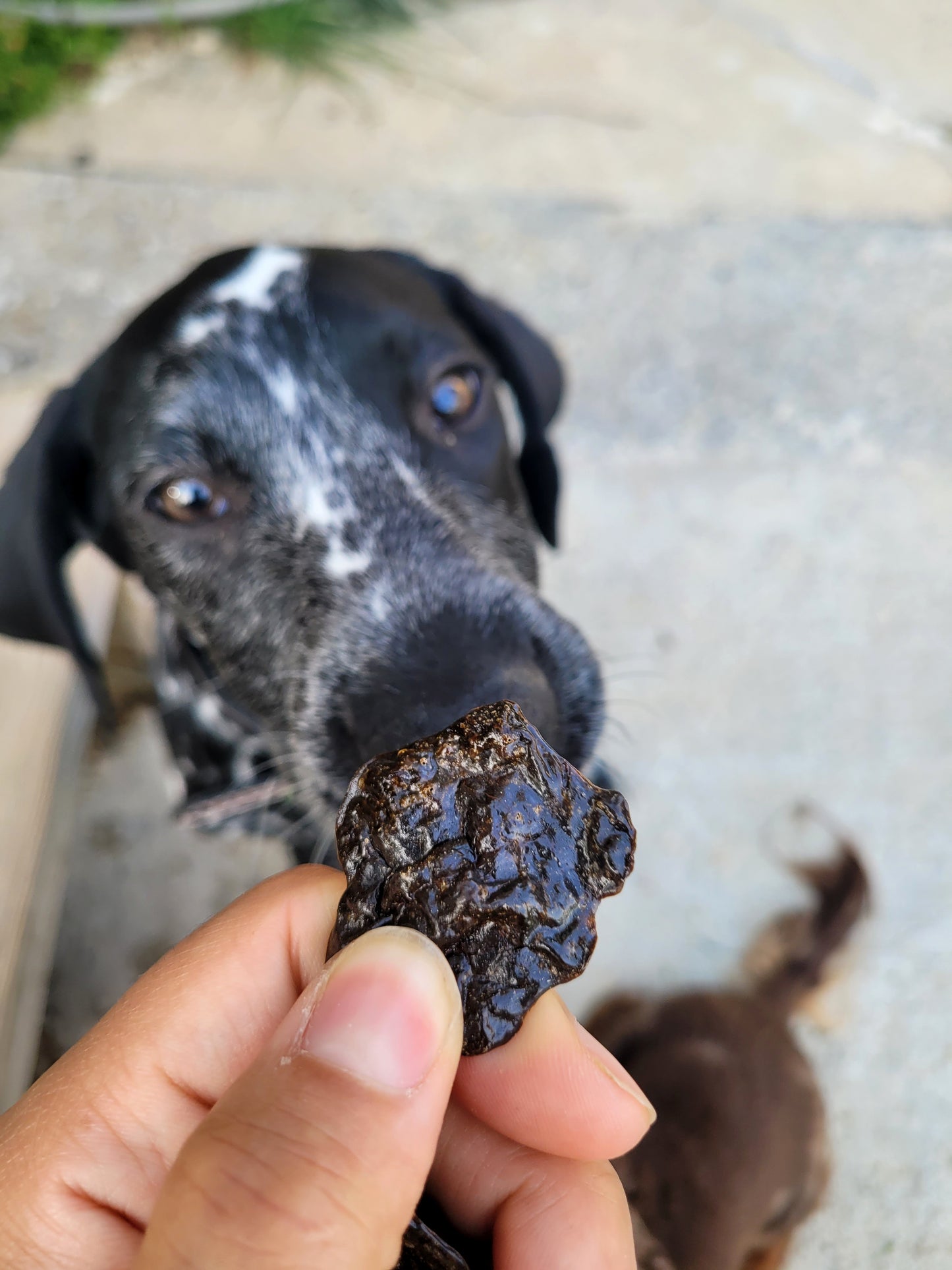 Beef Liver Chips