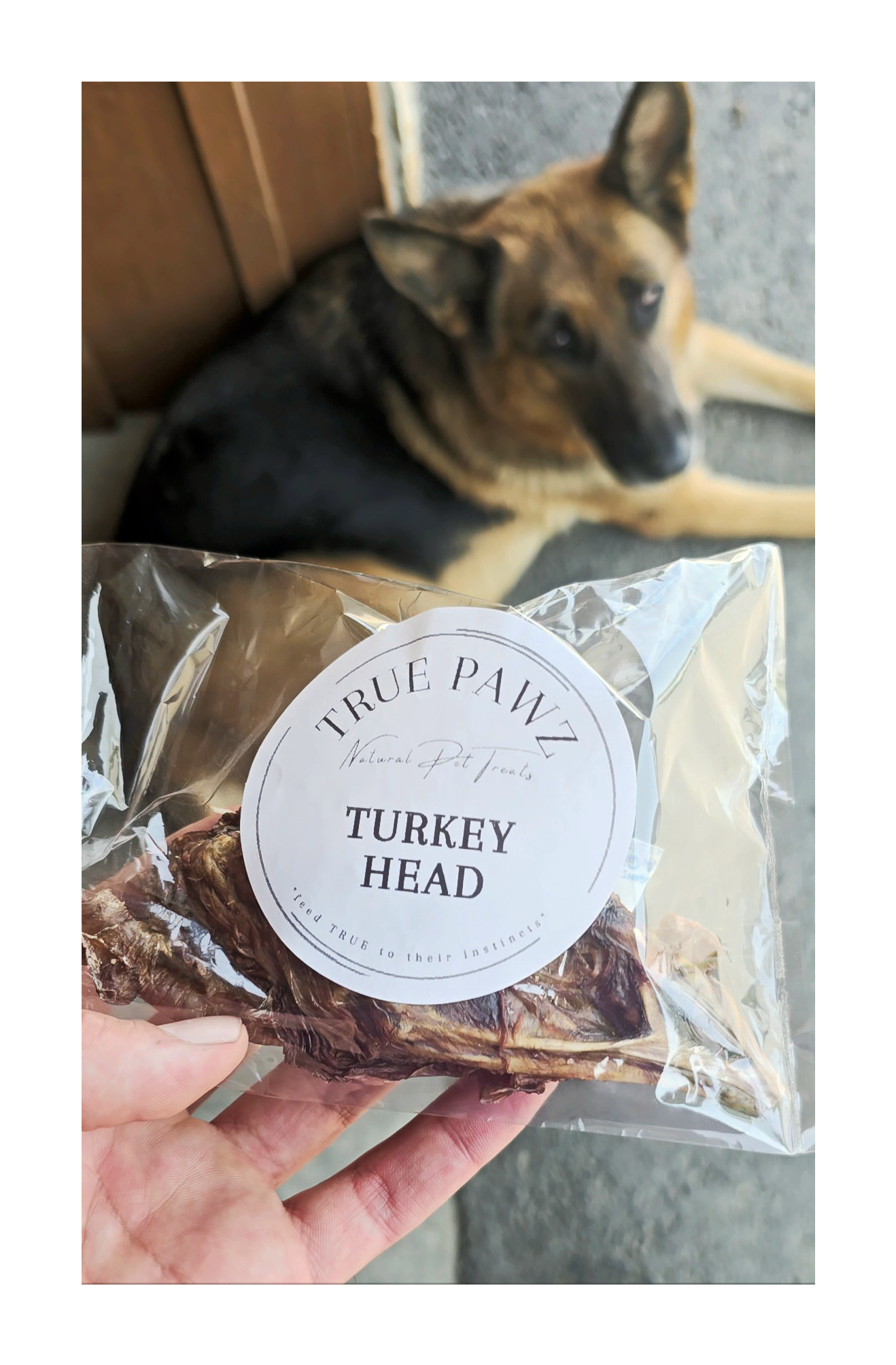 Turkey Heads