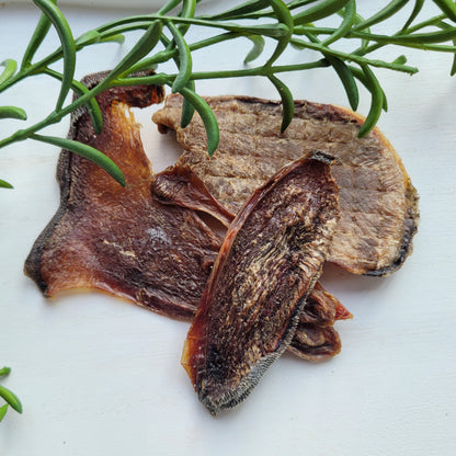 Beef Tongue