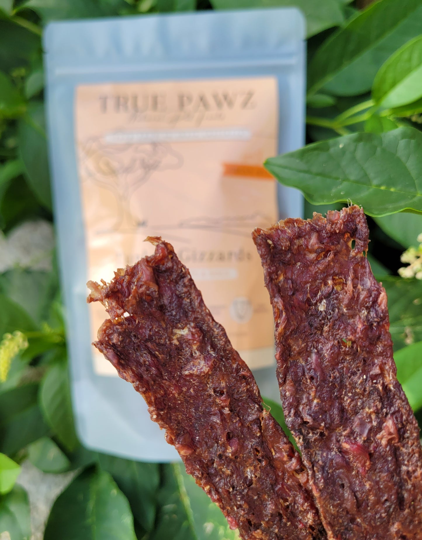 Turkey Gizzard Jerky